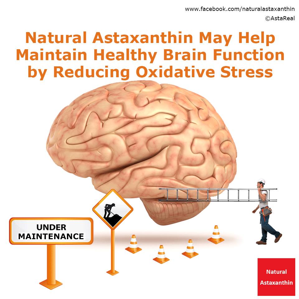 cerebro astaxin
