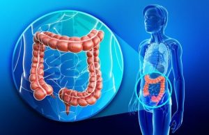 intestino
