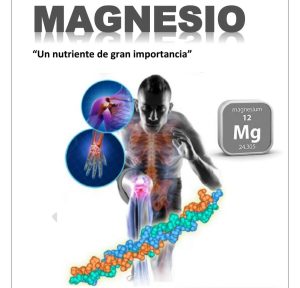 magnesio