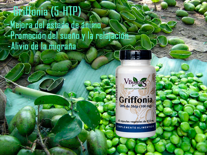 Griffonia simplicifolia2