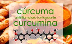 curcumaa225