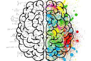 que es estimulacion cognitiva
