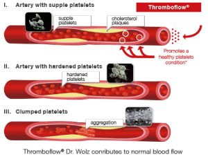 Thromboflow Web Englisch 1