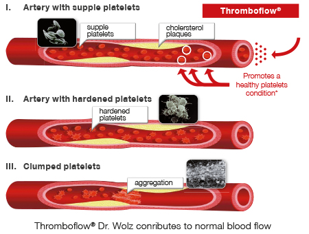 Thromboflow Web Englisch 1