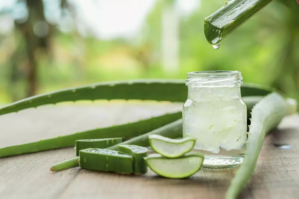 aloe vera 1 1.jpg