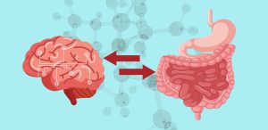 probioticos braingut