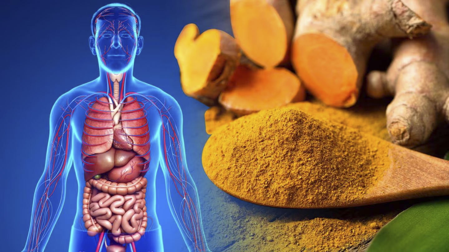 CURCUMA1