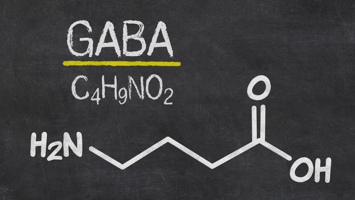 gaba 134